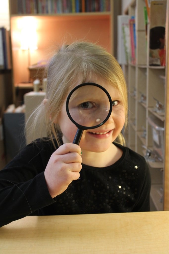 Auburn Bay School Calendar 2025 26